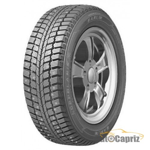 Шины Barum Norpolaris 205/55 R16 91Q (шип)